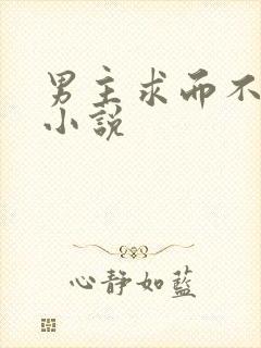 男主求而不得的小说