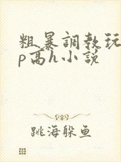 粗暴调教玩弄np高h小说封面