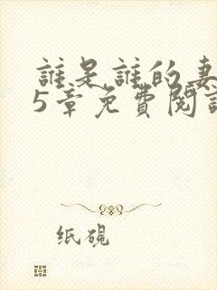 谁是谁的妻第15章免费阅读笔趣阁