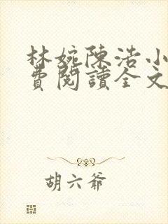 林婉陈浩小说免费阅读全文最新章节