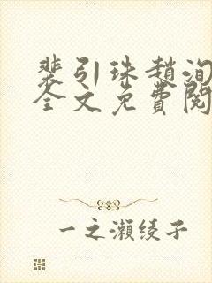 裴引珠赵洵小说全文免费阅读