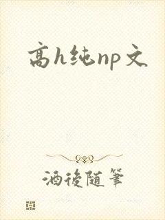 高h纯np文
