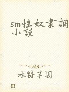 sm性奴隶调教小说封面