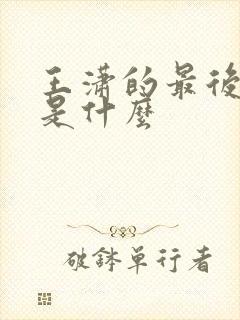 王潇的最后结局是什么封面