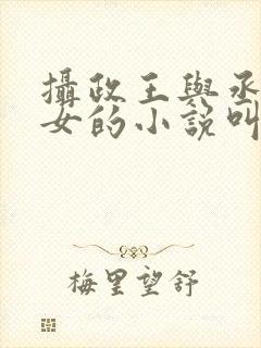 摄政王与丞相之女的小说叫啥