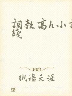 调教高h小说在线