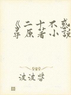 《二十不惑》周寻原著小说封面