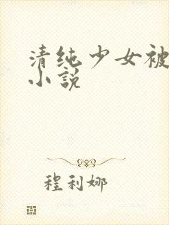 清纯少女被日常小说封面