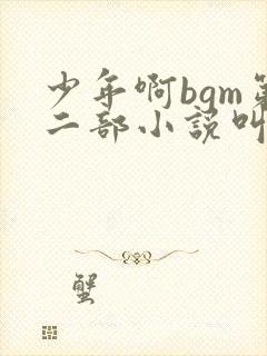 少年啊bgm第二部小说叫什么