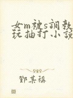 女m被s调教虐玩抽打小说