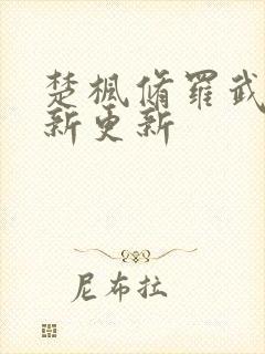 楚枫修罗武神最新更新