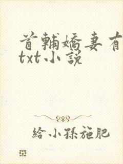 首辅娇妻有空间txt小说封面