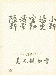 陆涛官场小说最新章节更新封面