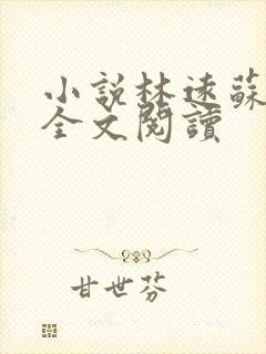 小说林远苏墨浓全文阅读封面