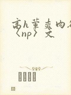 高h荤爽肉欲文〈np〉文