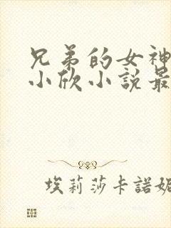 兄弟的女神女友小欣小说最新章节更