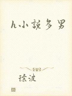 h小说多男