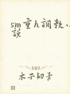 sm重h调教小说封面