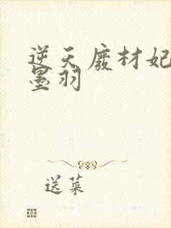 逆天废材妃 轻墨羽