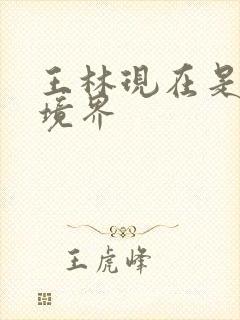 王林现在是什么境界