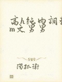 高h纯肉调教sm文男男