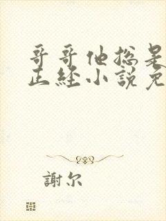 哥哥他总是假装正经小说免费阅读