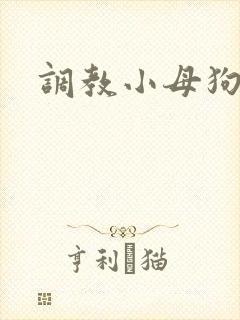 调教小母狗骚货