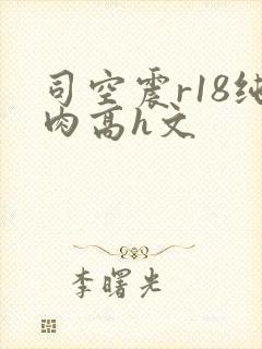司空震r18纯肉高h文