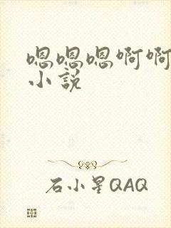 嗯嗯嗯啊啊高h小说封面