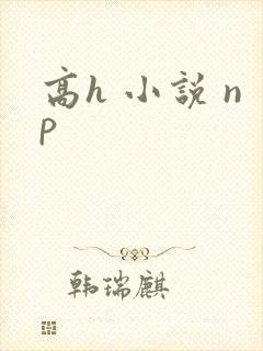高h 小说 np