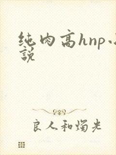 纯肉高hnp小说封面