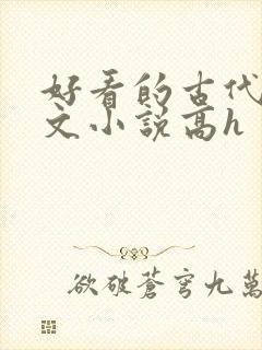 好看的古代调教文小说高h
