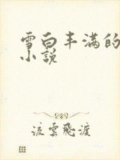 雪白丰满的乳房小说