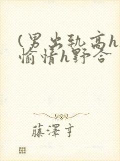 (男出轨高h)愉情h野合