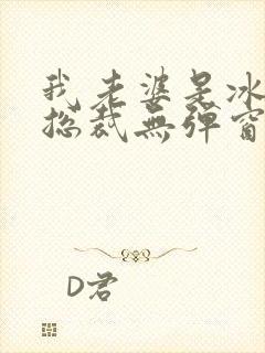 我老婆是冰山女总裁无弹窗免费