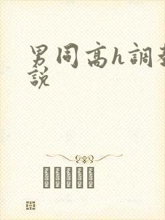 男同高h调教小说