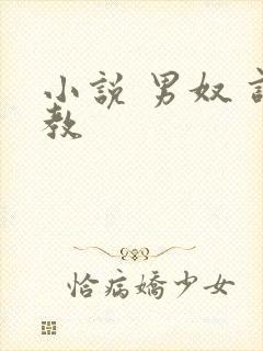 小说 男奴 调教