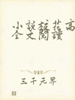 小说校花高筱柔全文阅读