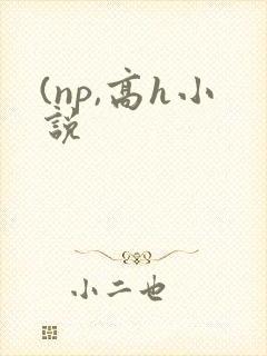 (np,高h小说