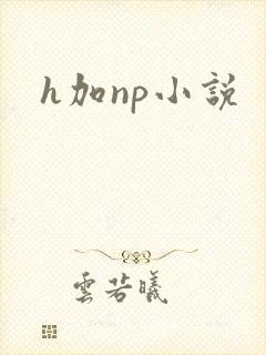 h加np小说封面