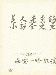 美人老矣的原著小说全文免费阅读封面