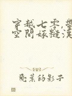 穿越七零,带着空间嫁糙汉电子书