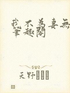 我不为妻无弹窗笔趣阁
