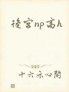 后宫np高h
