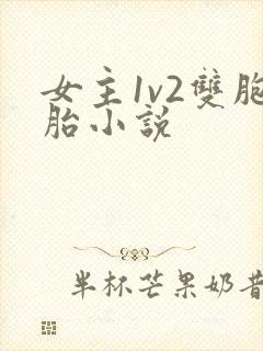 女主1v2双胞胎小说