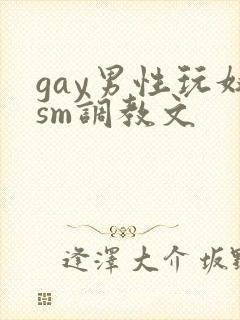 gay男性玩奴sm调教文