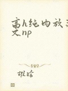 高h纯肉放荡h文np