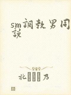 sm调教男同小说