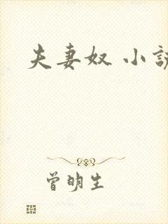 夫妻奴 小说封面