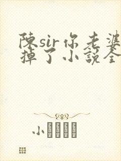 陈sir你老婆掉了小说全文阅读最新章节封面